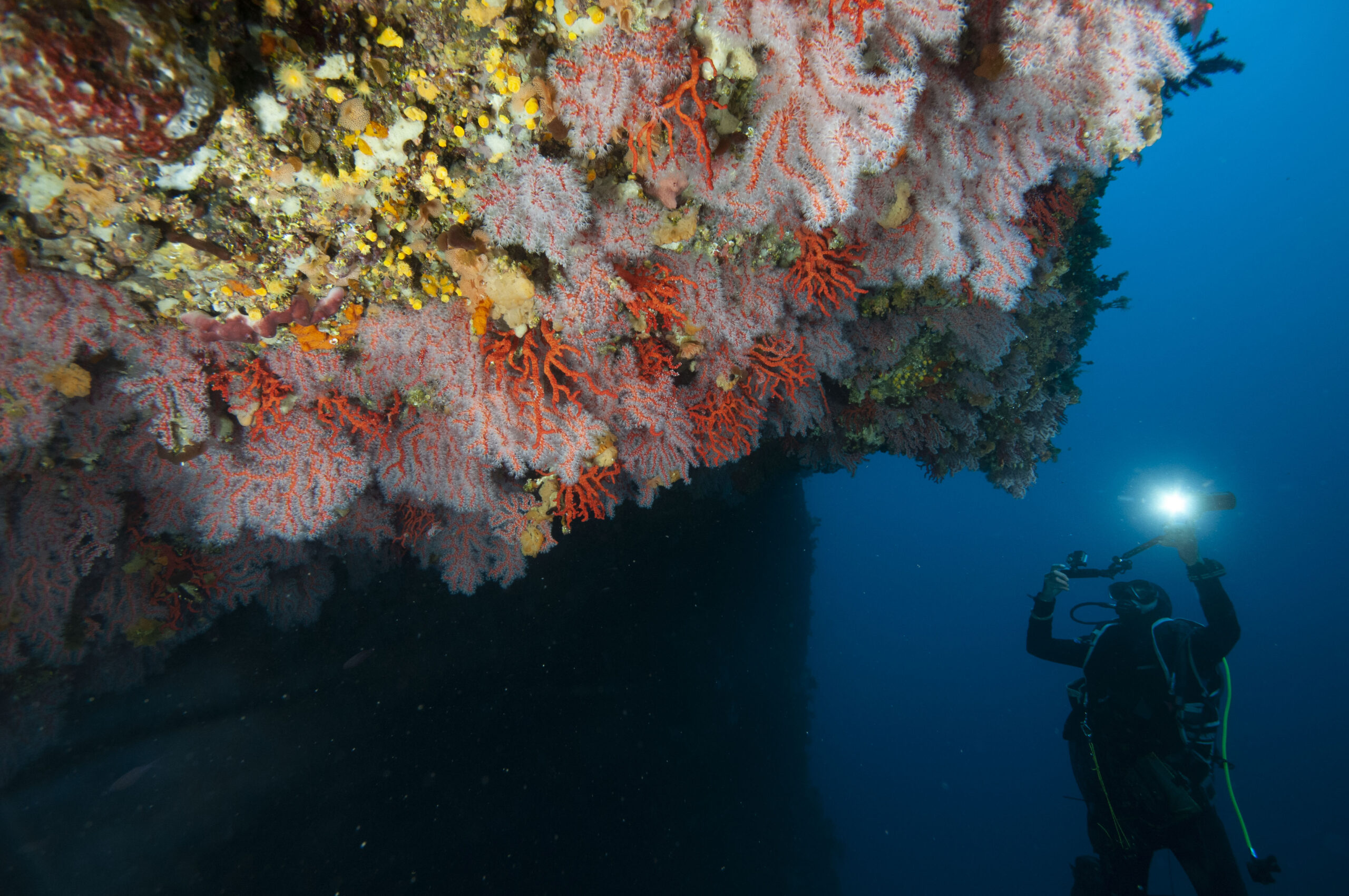 FUNDAMENTALS OF ECOLOGY FOR CONSERVATION AND RESTORATION OF MARINE SYSTEMS